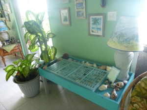 John built this table to display shells. The main part all divided was a shadow box he painted!